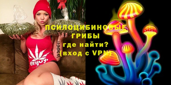 дживик Краснослободск