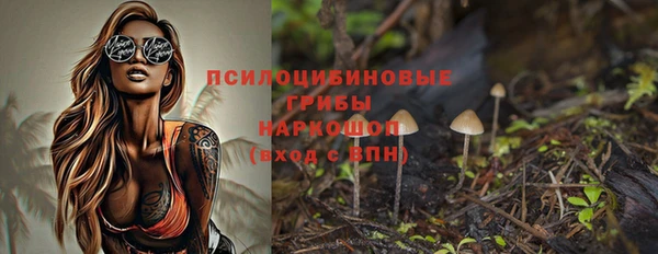 а пвп мука Коряжма