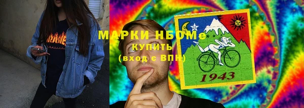дживик Краснослободск