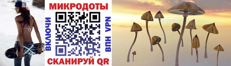 MEGA как войти  Куртамыш  Псилоцибиновые грибы прущие грибы 